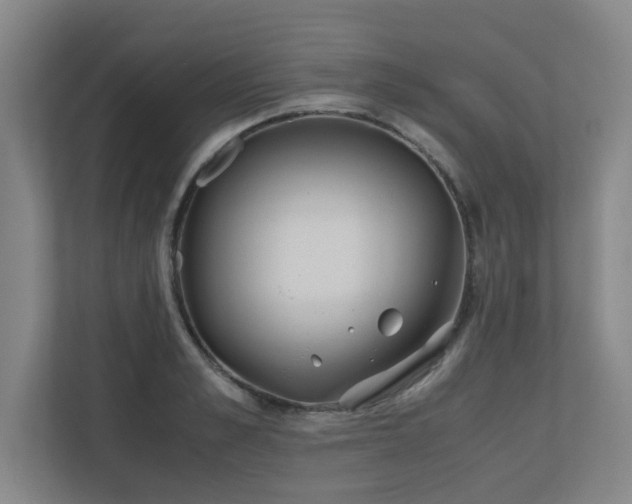 X0000110770989200906151322