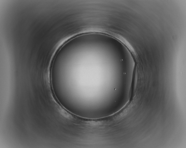 X0000110770996200906151322