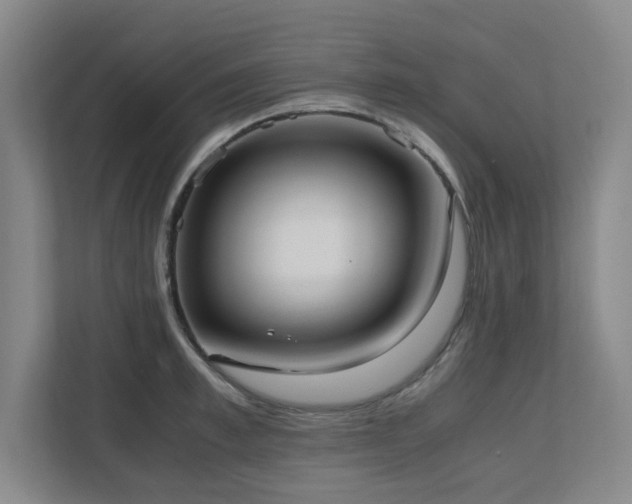 X0000110770997200906151322