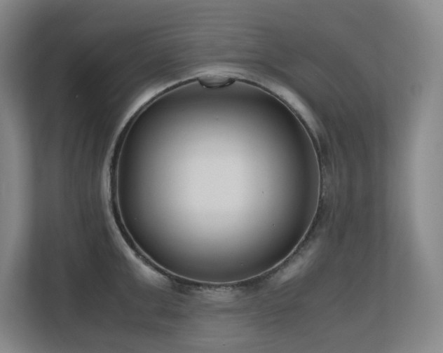 X0000110770999200906151322