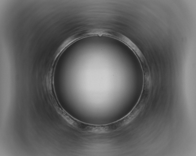 X0000110771002200906151322