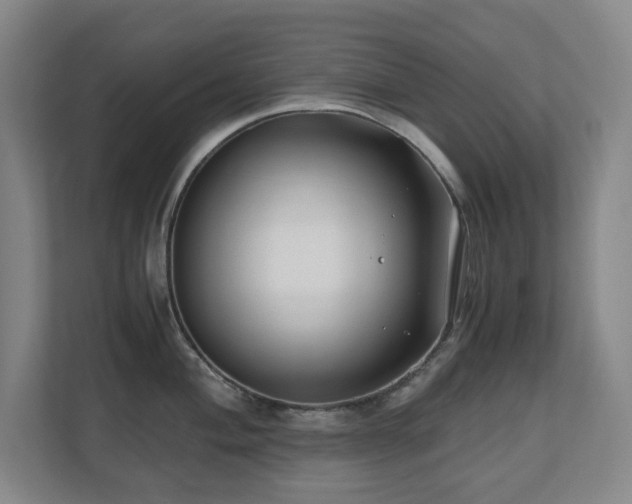 X0000110771004200906151322