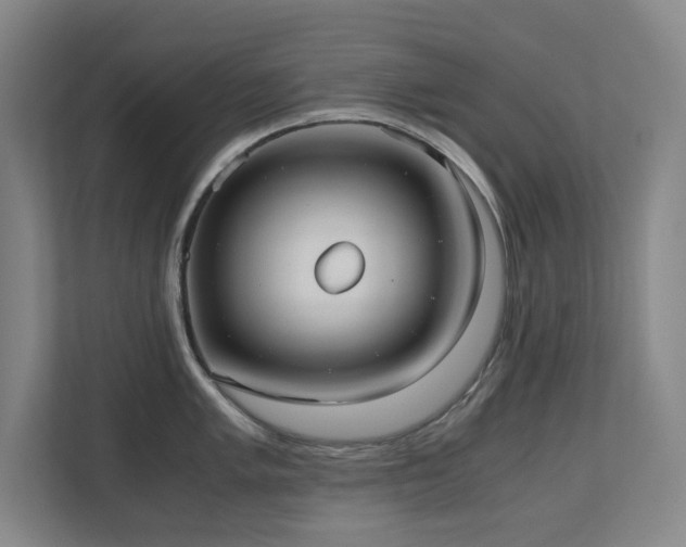 X0000110771005200906151322