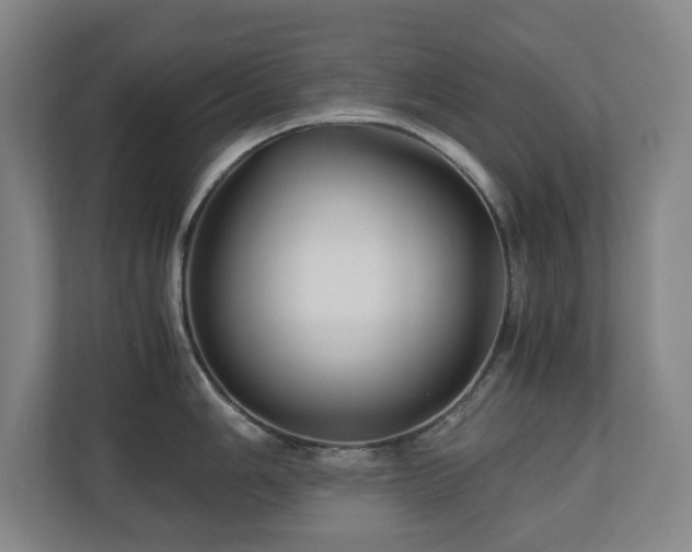 X0000110771006200906151322