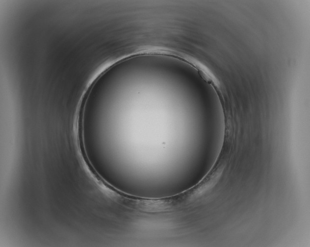 X0000110771007200906151322