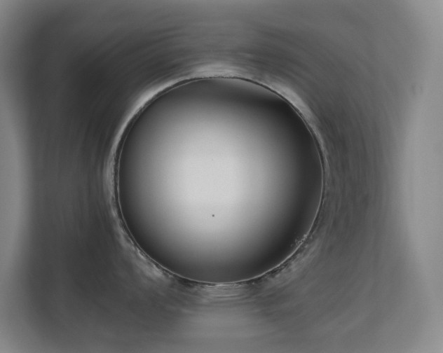 X0000110771008200906151322