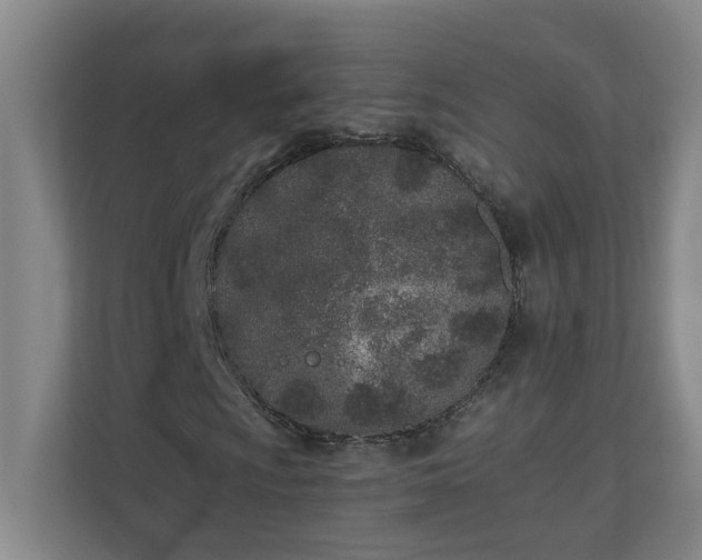 X0000110771009200906151321