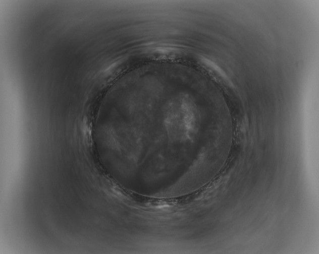 X0000110771013200906151321