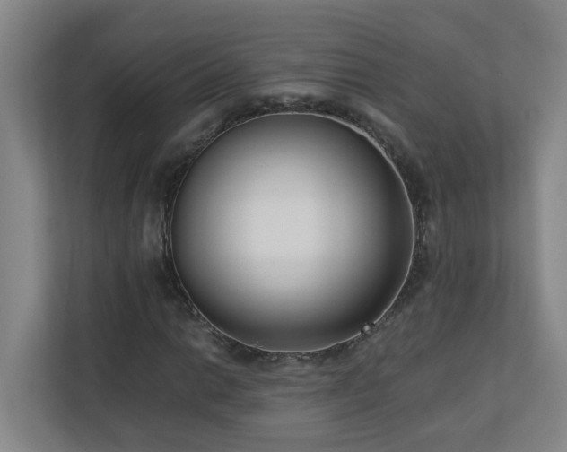 X0000110771014200906151321