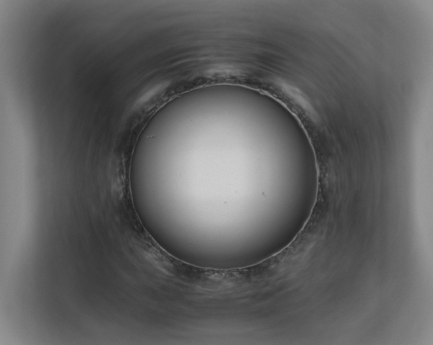 X0000110771015200906151321