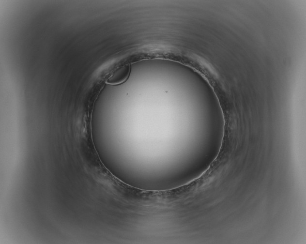 X0000110771016200906151321