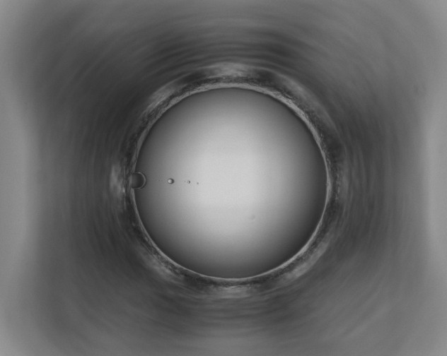 X0000110771017200906151321