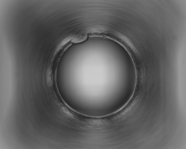 X0000110771018200906151321