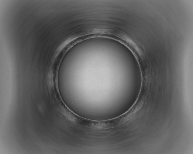 X0000110771019200906151321