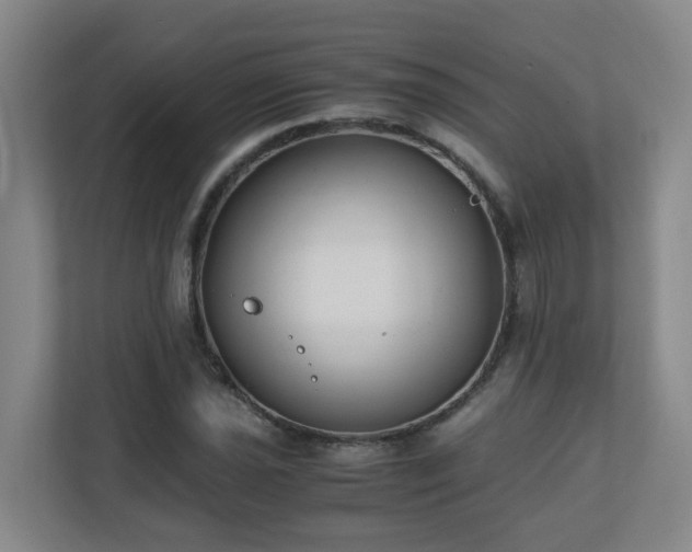 X0000110771021200906151321