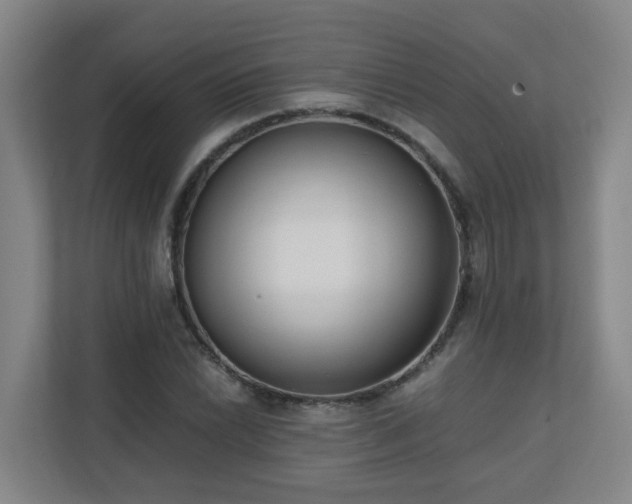 X0000110771022200906151321