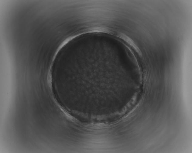 X0000110771024200906151321