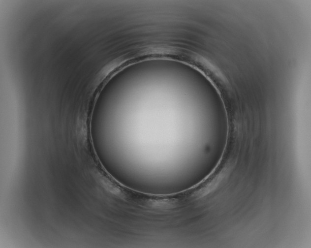 X0000110771025200906151321