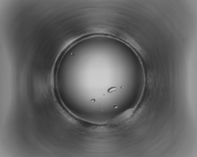 X0000110771028200906151321