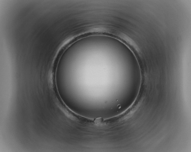 X0000110771029200906151321