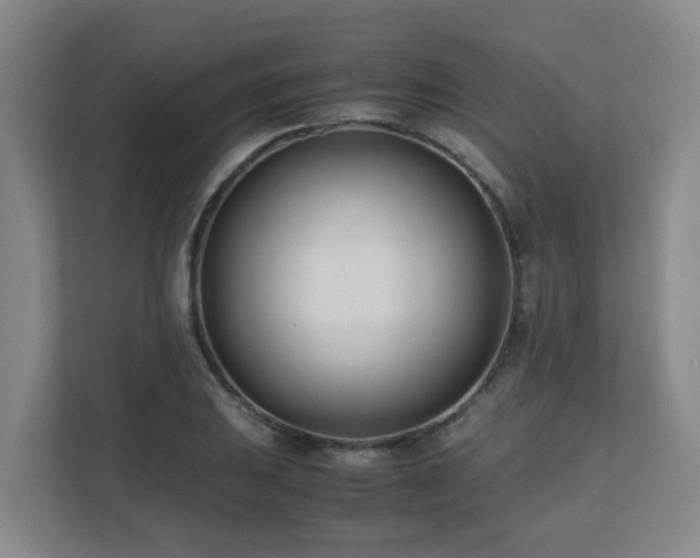 X0000110771031200906151321