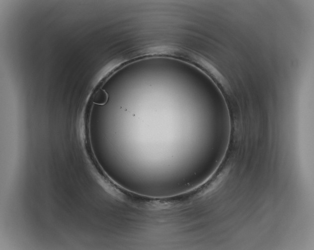 X0000110771034200906151321