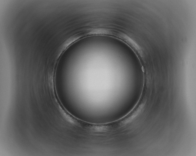 X0000110771041200906151322