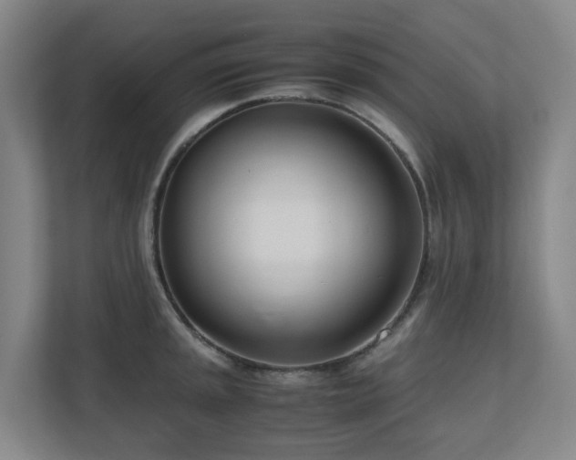 X0000110771045200906151322