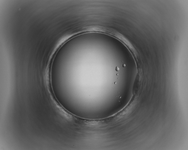 X0000110771048200906151322