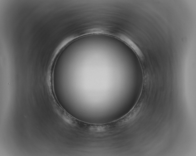 X0000110771051200906151322