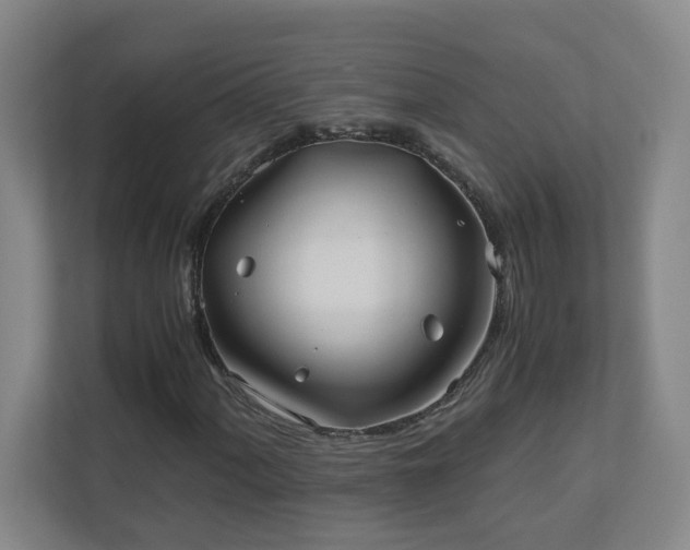 X0000110771060200906151321