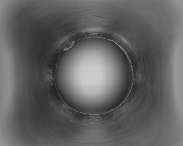 X0000110771062200906151321