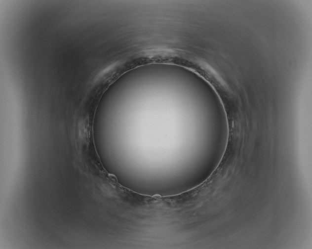 X0000110771063200906151321