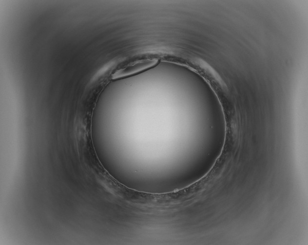 X0000110771064200906151321