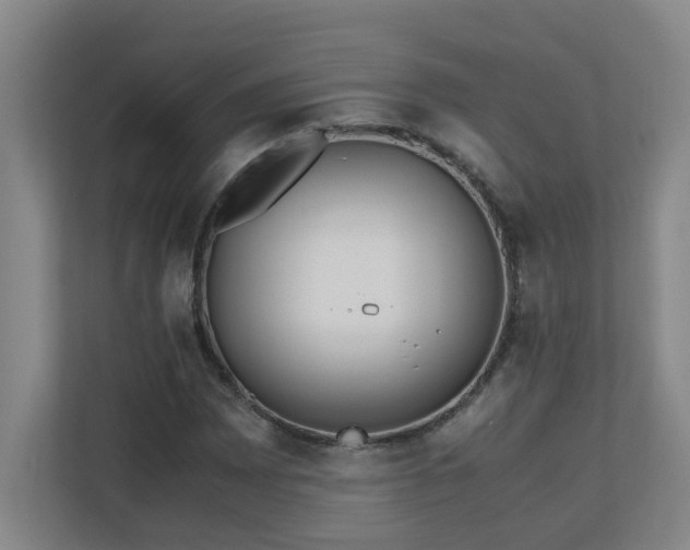 X0000110771065200906151321