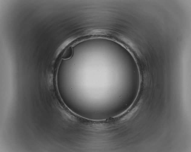 X0000110771066200906151321