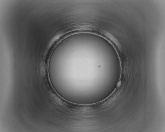 X0000110771067200906151321