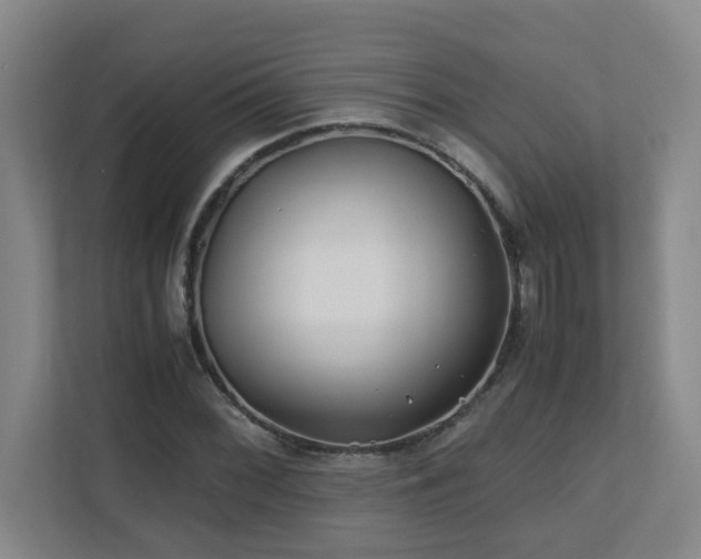 X0000110771068200906151321