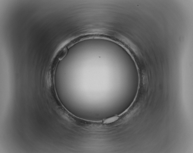 X0000110771069200906151321