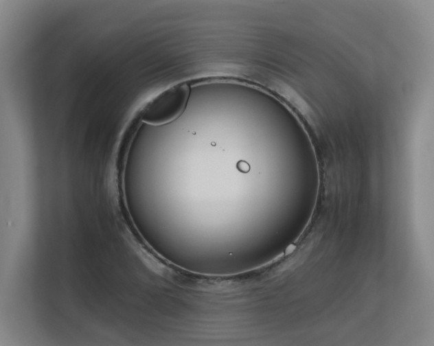 X0000110771072200906151321