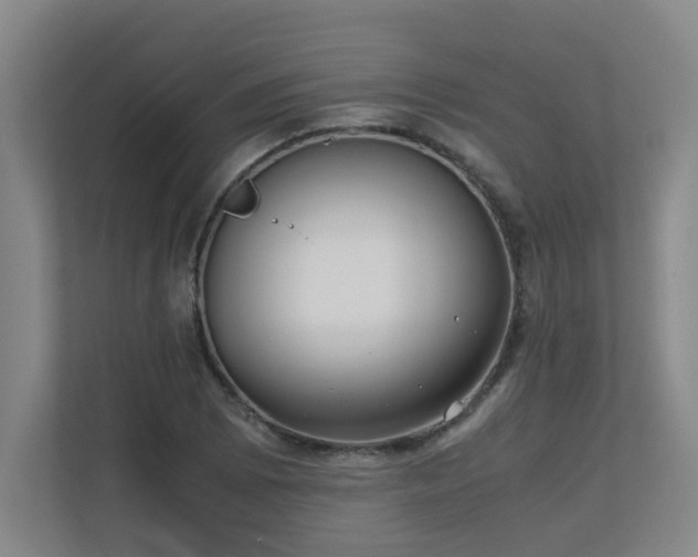 X0000110771073200906151321