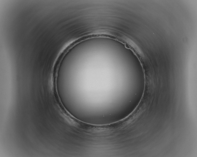 X0000110771076200906151321