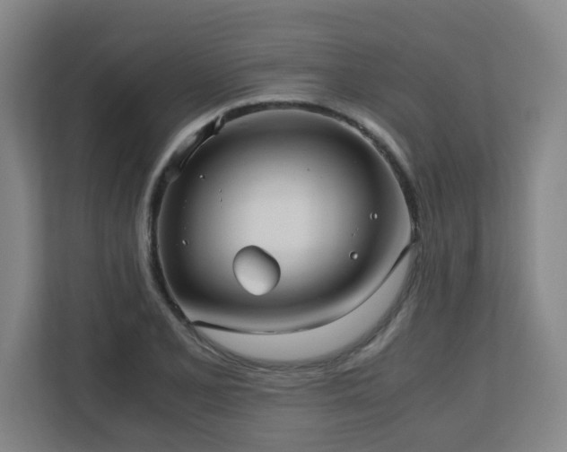 X0000110771077200906151321