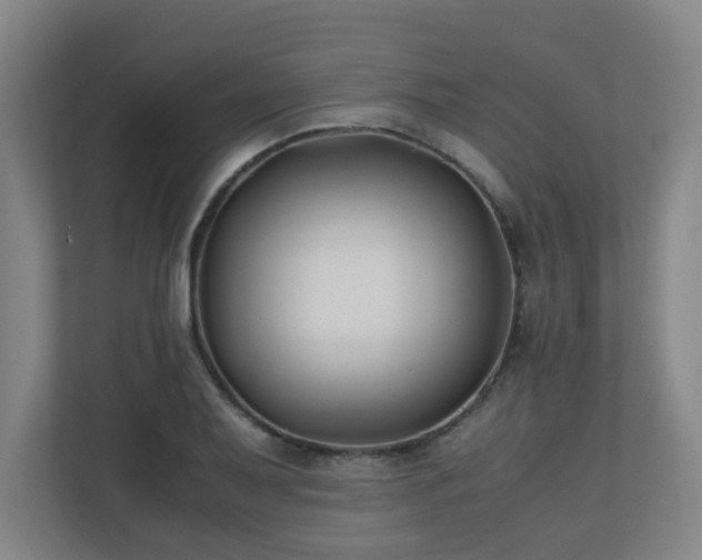 X0000110771079200906151321