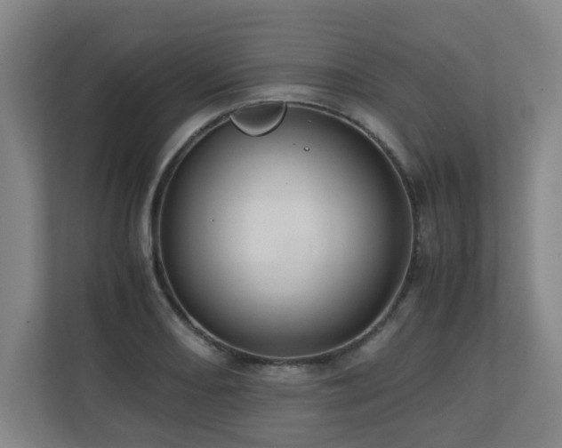 X0000110771082200906151321