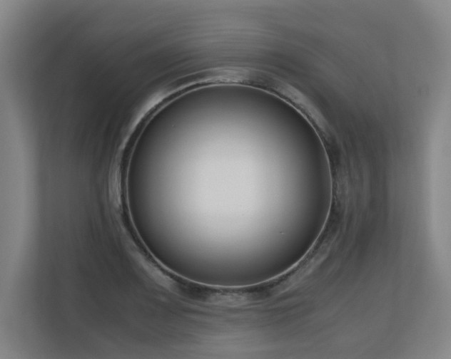 X0000110771083200906151321