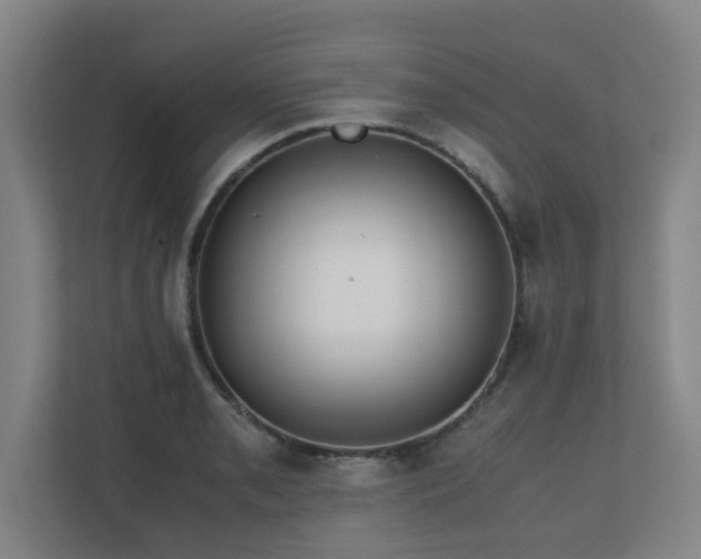 X0000110771085200906151321