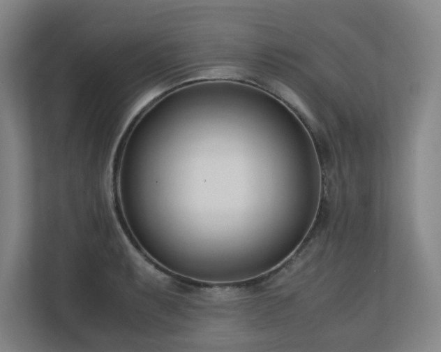 X0000110771087200906151321