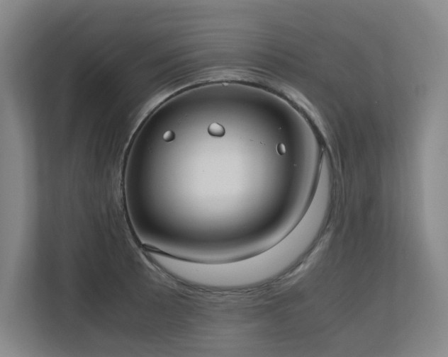 X0000110771089200906151321