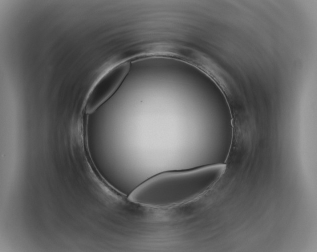 X0000110771092200906151321